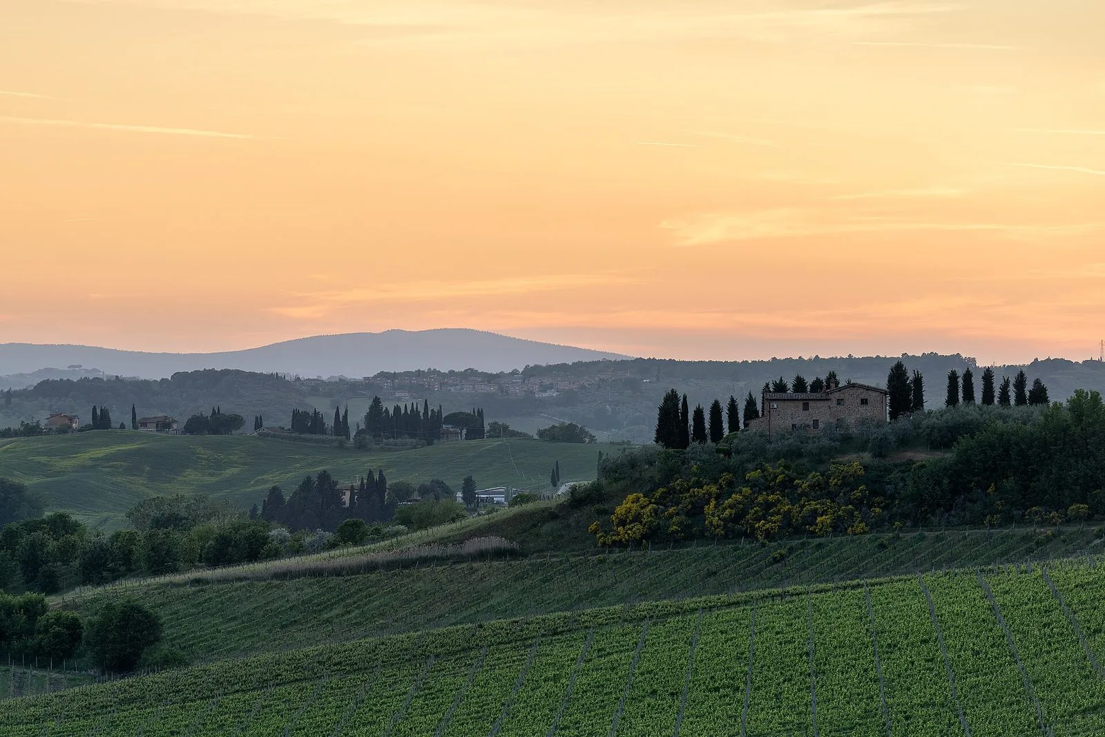 Un casale in pietra circondato da cipressi in cima a una collina, con filari di vigna in primo piano e il cielo arancione del tramonto
